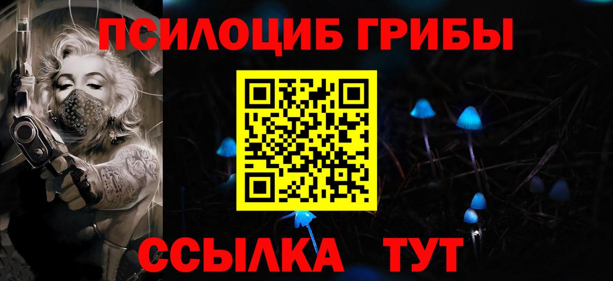 купить наркоту  Галлюциногенные грибы MAGIC MUSHROOMS  Вход с VPN  Рязань  Галлюциногенные грибы Magic Shrooms 